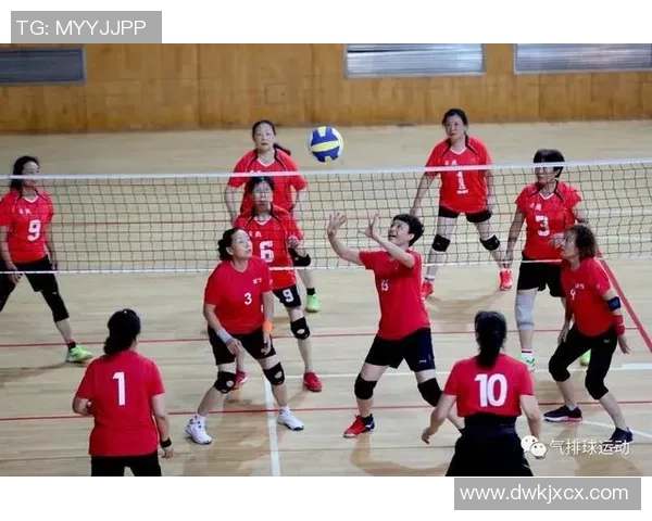 成都排球队心理素质分析与提升策略研究探讨